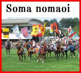 Soma nomaoi